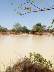 Οικόπεδο Προς πώληση 0000 Brikama Gambia  DE
