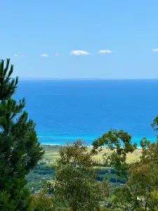 Τριάρι Προς πώληση 88060 sant'Andrea apostolo dello ionio IT